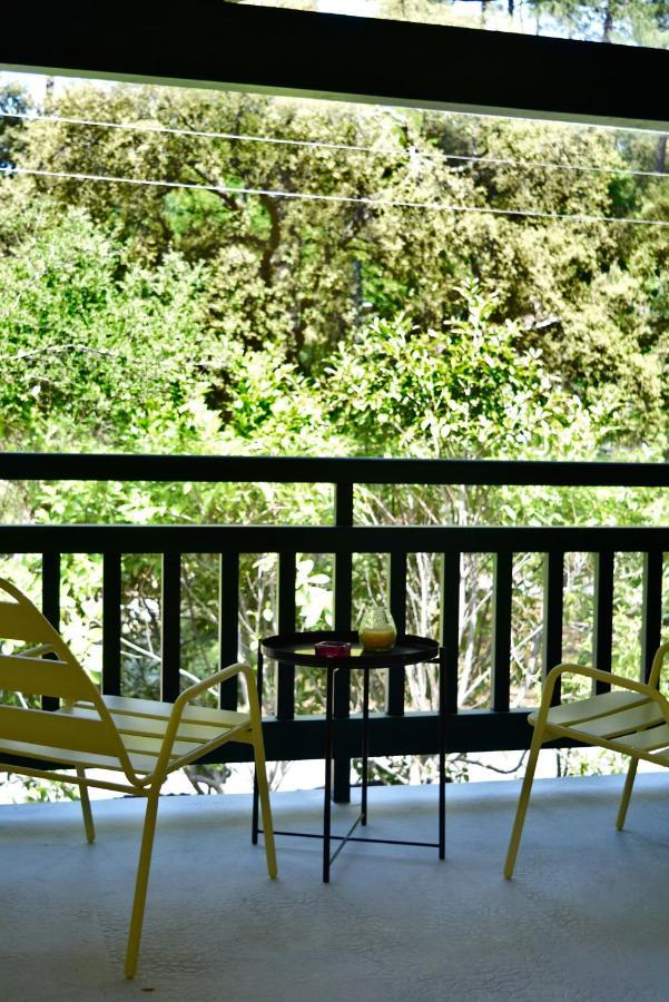 Nid De Line, Villa Hostal Naou Hossegor Wifi Netflix ソール・オスゴール エクステリア 写真